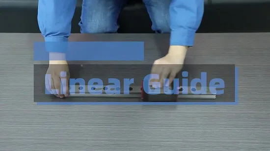 Curved Rail Customized Curved Arc Linear Guide
